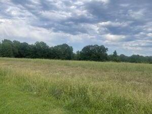 000 Palmer Rd, Clarksville, AR 72830