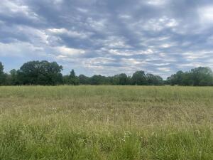 000 Palmer Rd, Clarksville, AR 72830