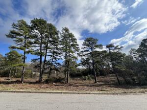 702 Castlegate Loop, Russellville, AR 72802 - photo 1