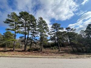 702 Castlegate Loop, Russellville AR, 72802 land for sale