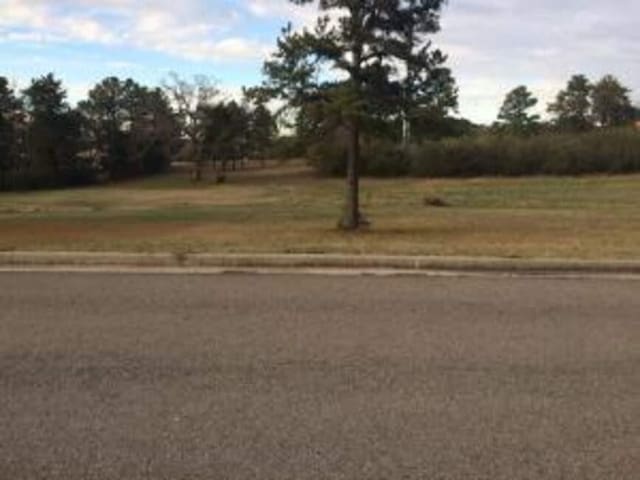LOT2A Marissa, Russellville, AR 72801 - photo 1