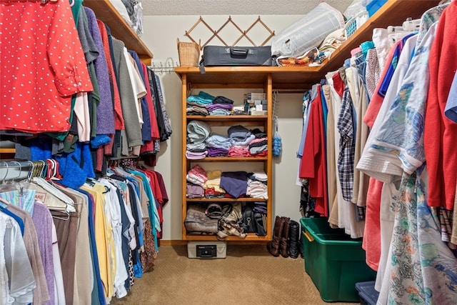 walk in closet with carpet floors