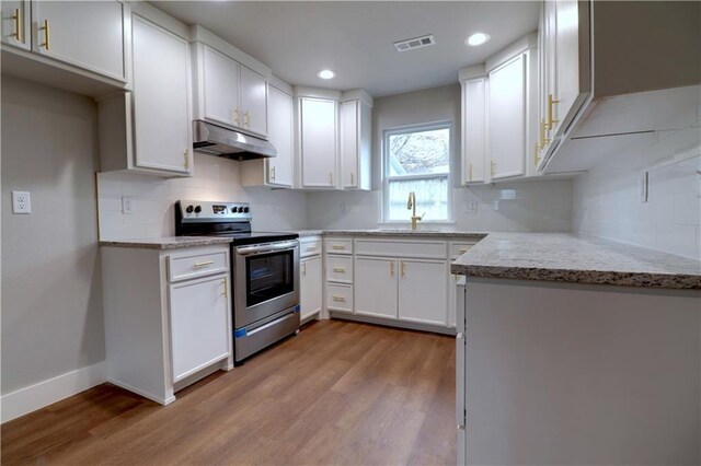 402 NE 4th Ave, Gravette, AR 72736 - kitchen with stainless steel range with electric cooktop, under cabinet range hood, a sink, light wood-style floors, and recessed lighting