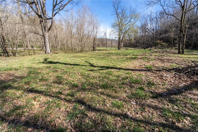 22965 Davis Valley Rd, Gentry, AR 72734 - view of yard featuring a view of trees