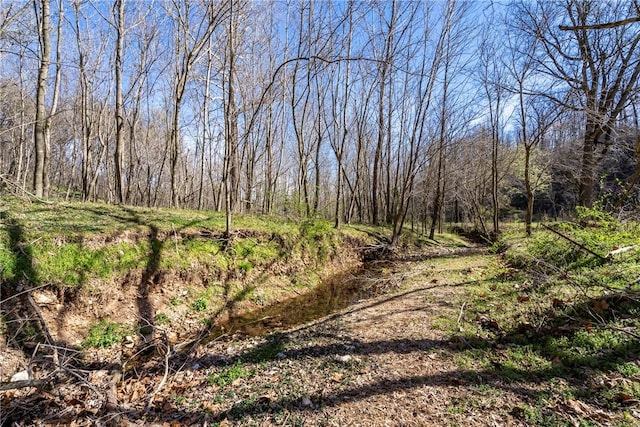 22965 Davis Valley Rd, Gentry, AR 72734 - exterior space featuring a view of trees