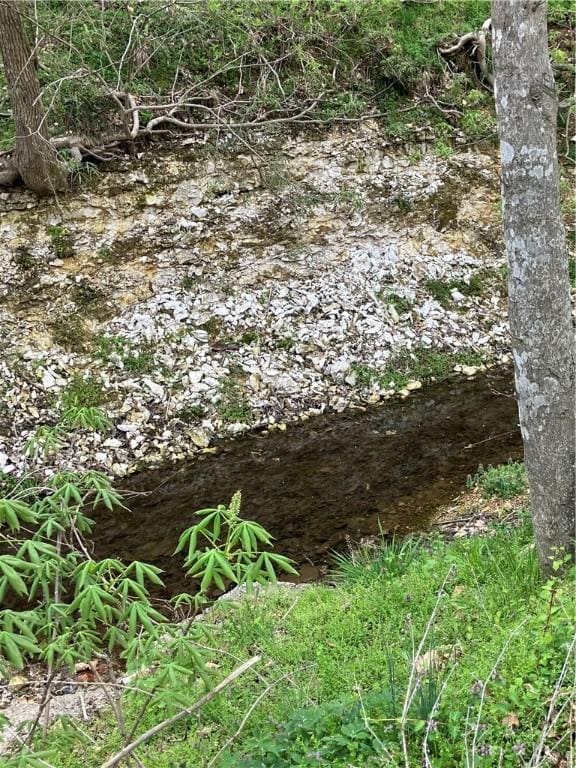 22965 Davis Valley Rd, Gentry, AR 72734 - view of nature
