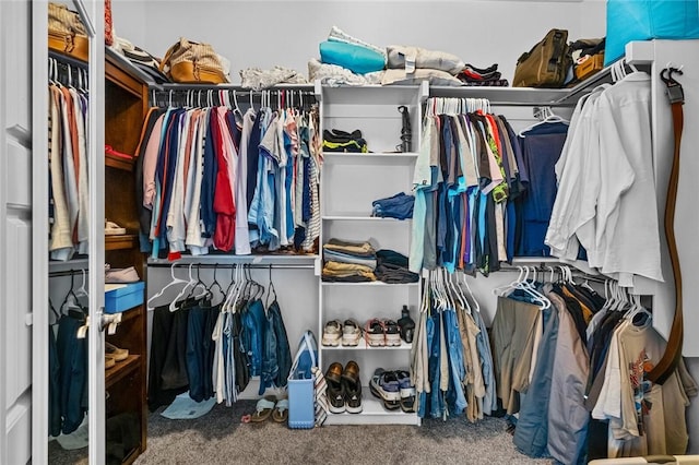 4204 SW Wheatgrass Blvd, Bentonville, AR 72713 - walk in closet featuring carpet