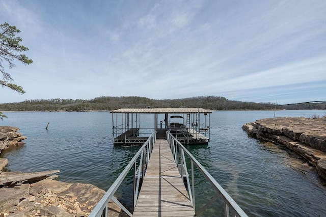 dock area with a water view