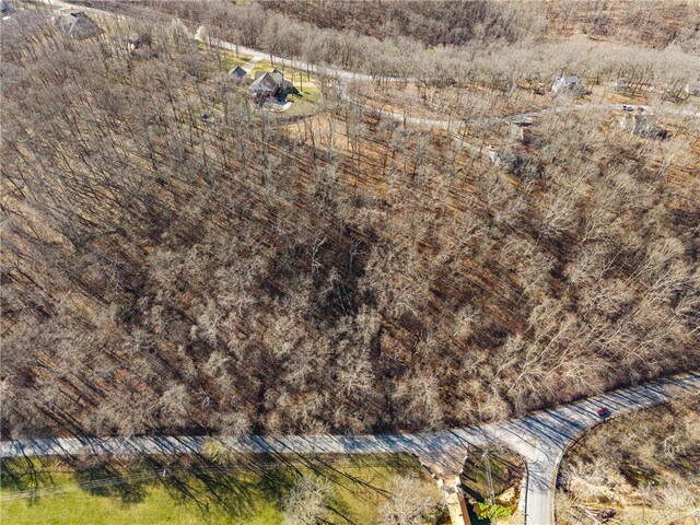 8AC Spanker Creek Rd, Bentonville, AR 72712 - photo 7