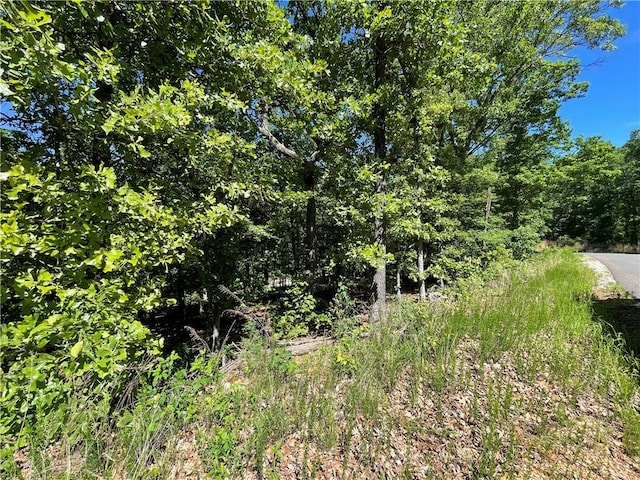 Horncastle Dr, Bella Vista, AR 72714 - photo 1