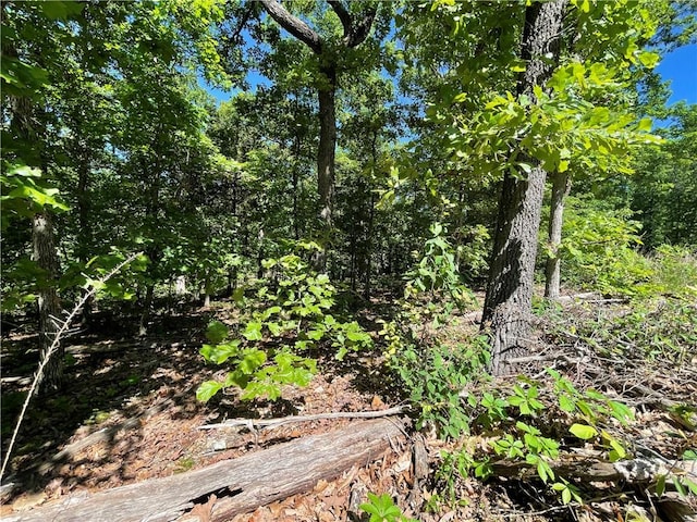 Horncastle Dr, Bella Vista, AR 72714 - photo 2