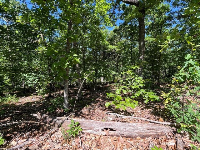 Horncastle Dr, Bella Vista, AR 72714 - photo 3