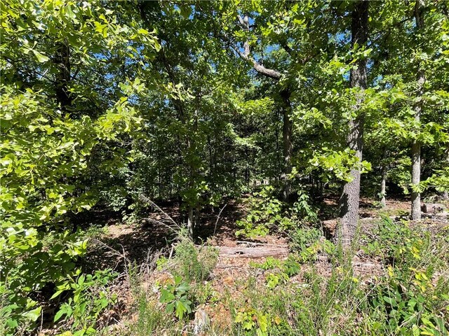 Horncastle Dr, Bella Vista, AR 72714 - photo 4