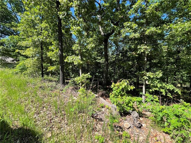 Horncastle Dr, Bella Vista, AR 72714 - photo 5