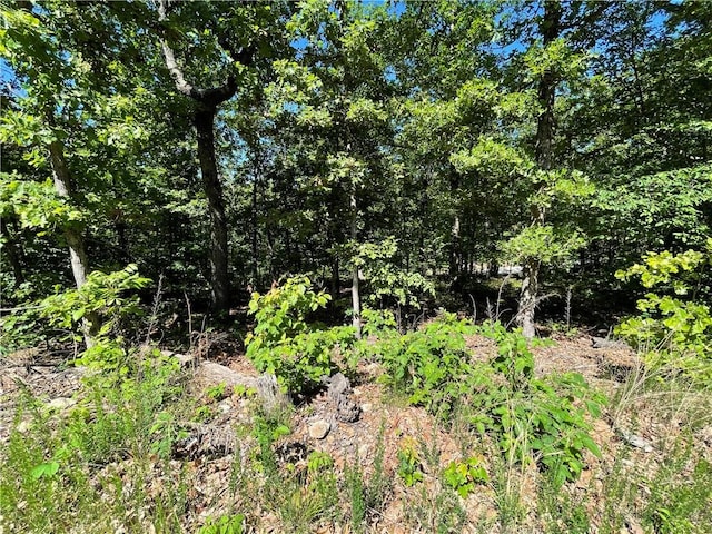 Horncastle Dr, Bella Vista, AR 72714 - photo 6