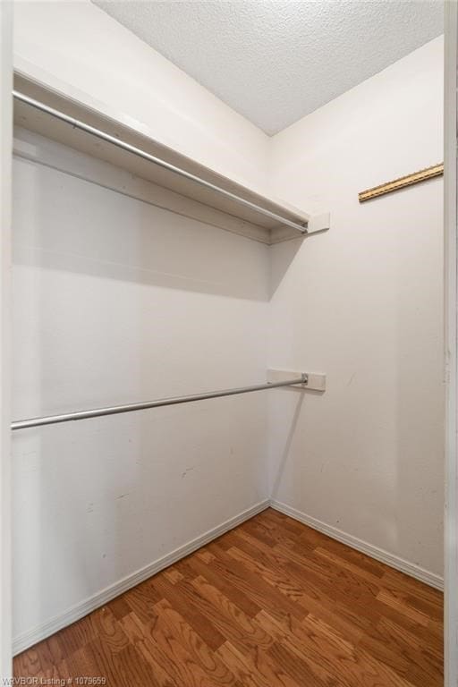 walk in closet with wood finished floors
