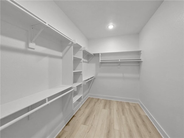 6 Osborne Ln, Bella Vista, AR 72715 - walk in closet featuring light wood-style flooring