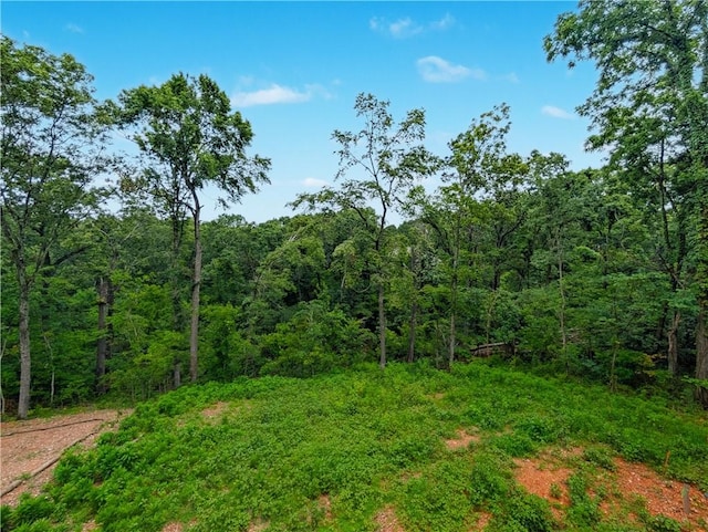 6 Osborne Ln, Bella Vista, AR 72715 - photo 20
