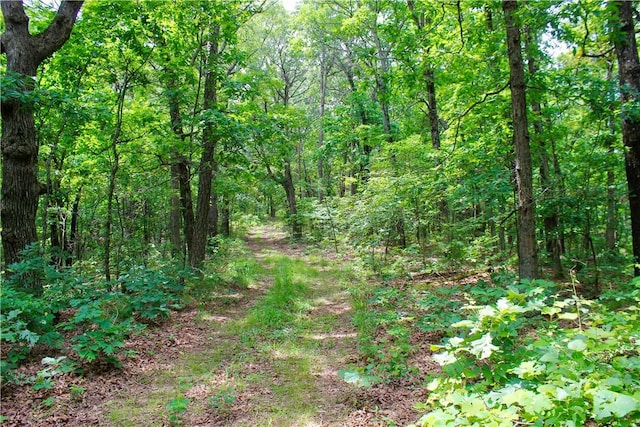 3369 County Road 207, Eureka Springs, AR 72632