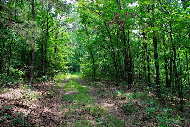 3369 County Road 207, Eureka Springs, AR 72632