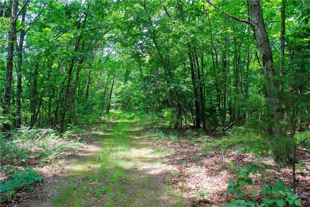 3369 County Road 207, Eureka Springs, AR 72632