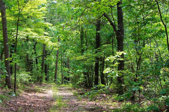 3369 County Road 207, Eureka Springs, AR 72632