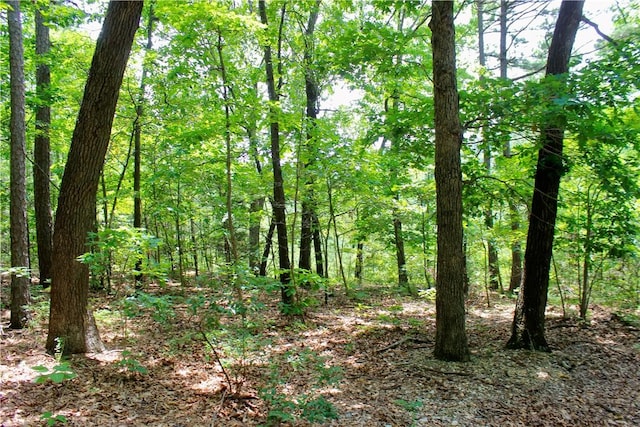 3369 County Road 207, Eureka Springs, AR 72632