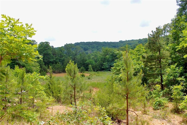 3369 County Road 207, Eureka Springs, AR 72632