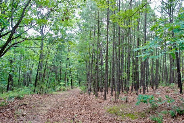 3369 County Road 207, Eureka Springs, AR 72632