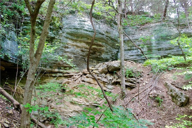 3369 County Road 207, Eureka Springs, AR 72632