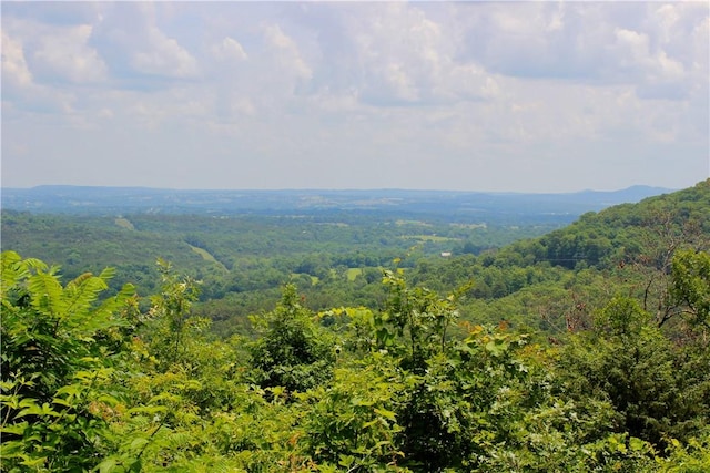 3369 County Road 207, Eureka Springs, AR 72632