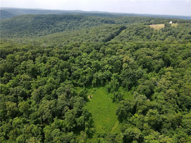 3369 County Road 207, Eureka Springs, AR 72632