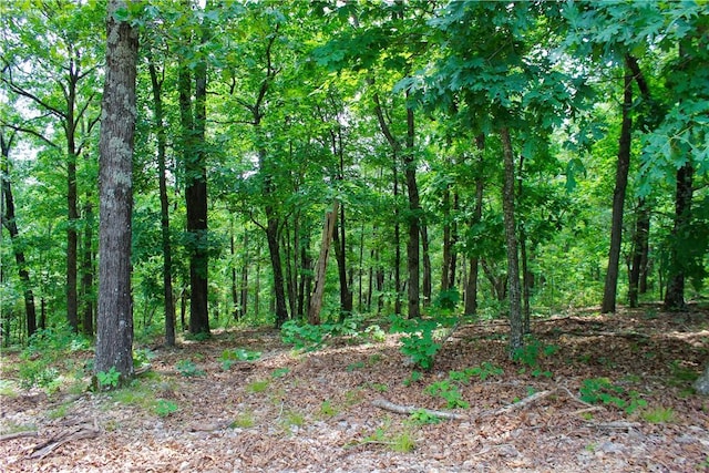 3369 County Road 207, Eureka Springs, AR 72632