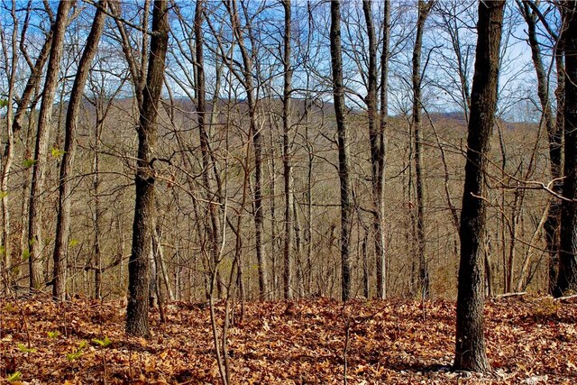 3369 County Road 207, Eureka Springs, AR 72632