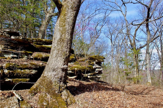 3369 County Road 207, Eureka Springs, AR 72632