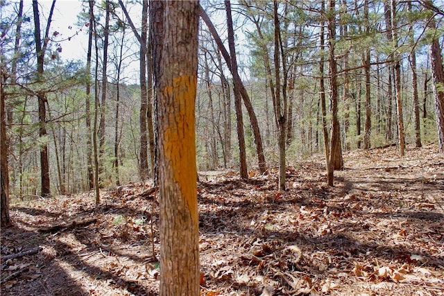 3369 County Road 207, Eureka Springs, AR 72632