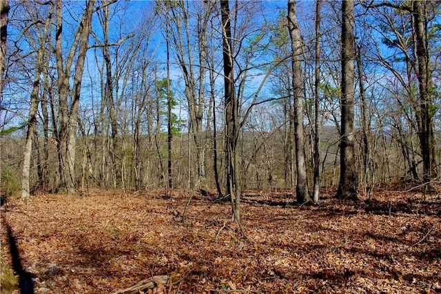 3369 County Road 207, Eureka Springs, AR 72632