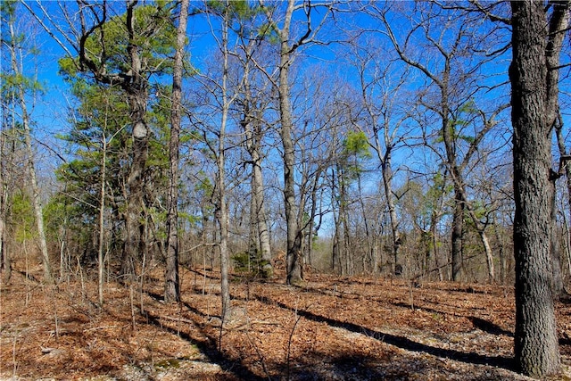 3369 County Road 207, Eureka Springs, AR 72632