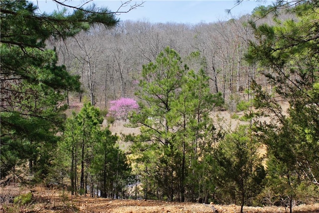 3369 County Road 207, Eureka Springs, AR 72632
