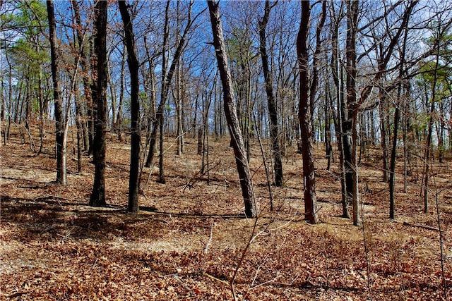 3369 County Road 207, Eureka Springs, AR 72632