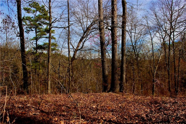 3369 County Road 207, Eureka Springs, AR 72632