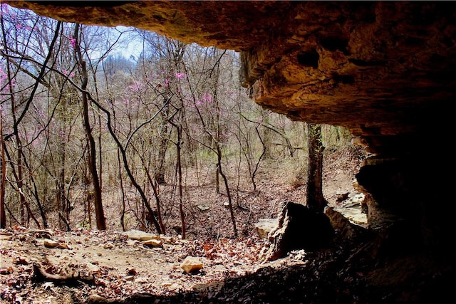 3369 County Road 207, Eureka Springs, AR 72632