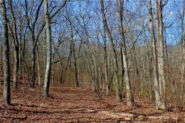3369 County Road 207, Eureka Springs, AR 72632