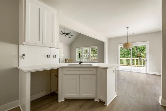 7 Boreray Ln, Bella Vista, AR 72715 - kitchen with a sink, wood finished floors, a peninsula, healthy amount of natural light, and lofted ceiling