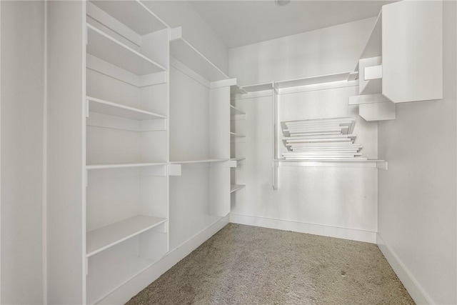 7 Boreray Ln, Bella Vista, AR 72715 - walk in closet featuring carpet