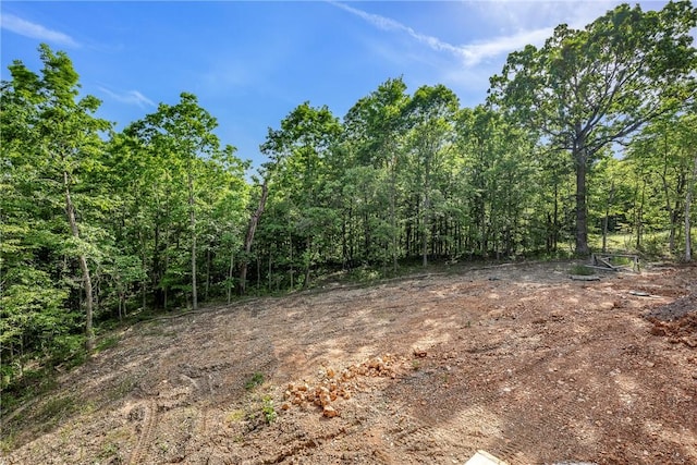 7 Boreray Ln, Bella Vista, AR 72715 - view of wooded area
