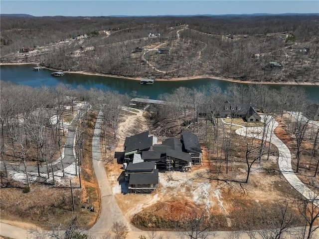 bird's eye view featuring a water view and a wooded view