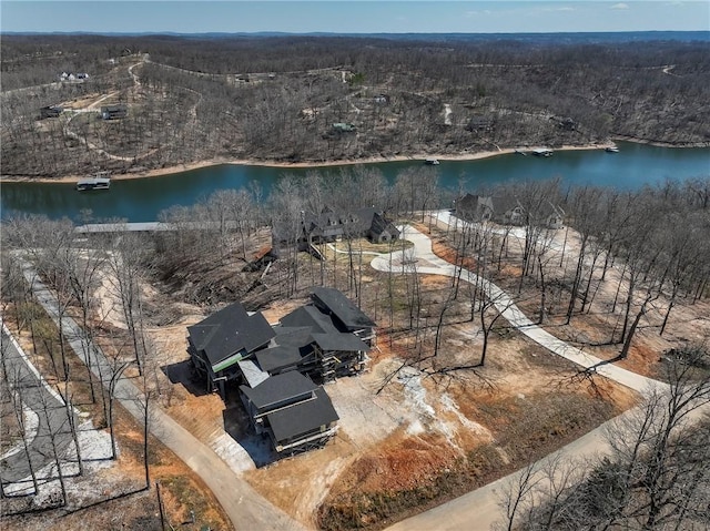 aerial view with a water view and a view of trees