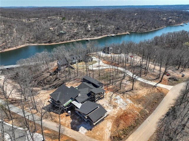 bird's eye view featuring a water view and a forest view