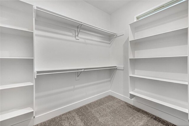 98 N Banner Ave, Farmington, AR 72730 - walk in closet with carpet floors